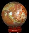 Colorful Petrified Wood Sphere #49742-2
